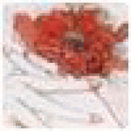 nethomtra