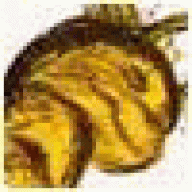 itaytakuys