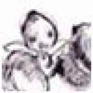 Auracox