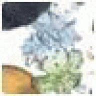 aulagareta