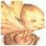 despegrae